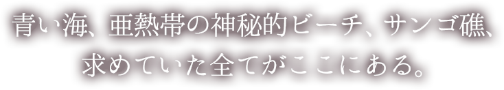 青い海、亜熱帯の神秘的ビーチ、サンゴ礁、求めていた全てがここにある。